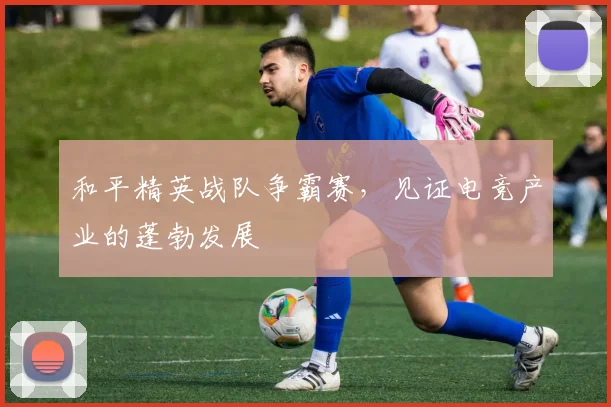 和平精英战队争霸赛，见证电竞产业的蓬勃发展