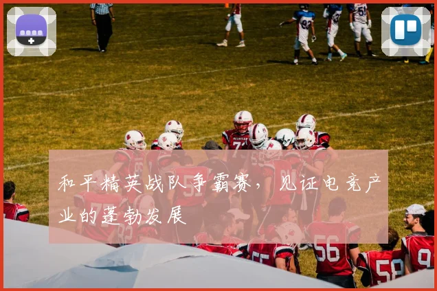 和平精英战队争霸赛，见证电竞产业的蓬勃发展